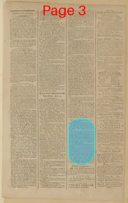Page thumbnail for The New York Journal, And Daily Patriotic Register
