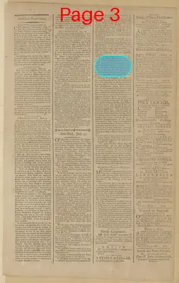 Page thumbnail for The New York Journal, And Daily Patriotic Register