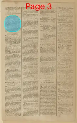 Page thumbnail for The New York Journal, And Daily Patriotic Register