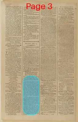 Page thumbnail for The New York Journal, And Daily Patriotic Register