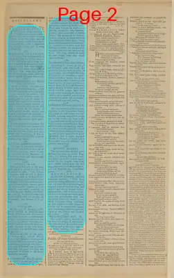 Page thumbnail for The New York Journal, And Daily Patriotic Register