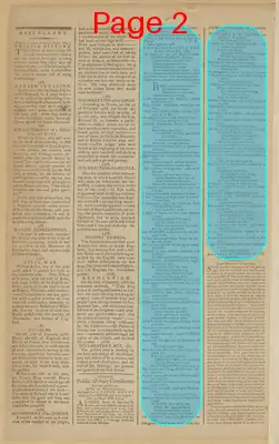 Page thumbnail for The New York Journal, And Daily Patriotic Register