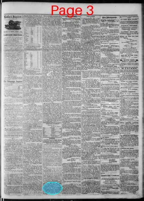 Page thumbnail for Bedford Inquirer