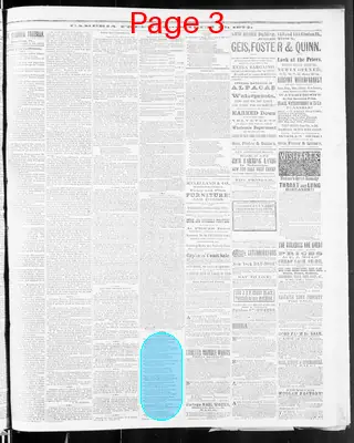 Page thumbnail for The Cambria Freeman