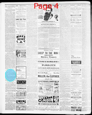 Page thumbnail for The Cambria Freeman