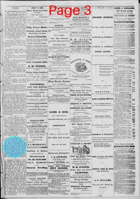 Page thumbnail for Elizabeth Daily Monitor