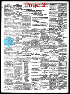 Page thumbnail for Lancaster Daily Intelligencer