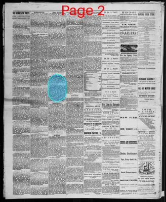 Page thumbnail for The Democratic Press