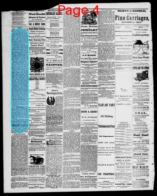 Page thumbnail for The Democratic Press