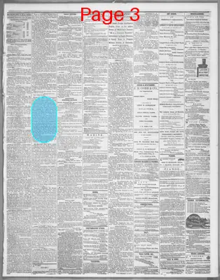 Page thumbnail for Cleveland Morning Leader