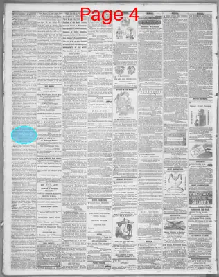 Page thumbnail for Cleveland Morning Leader