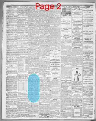 Page thumbnail for Cleveland Morning Leader