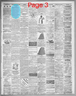 Page thumbnail for Cleveland Morning Leader