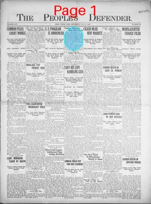Page thumbnail for The People's Defender
