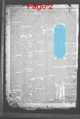 Page thumbnail for Democratic Standard