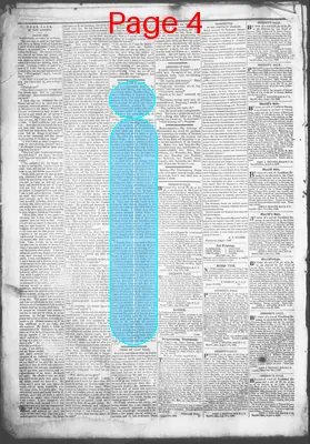 Page thumbnail for Democratic Standard