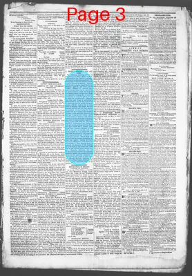 Page thumbnail for Democratic Standard