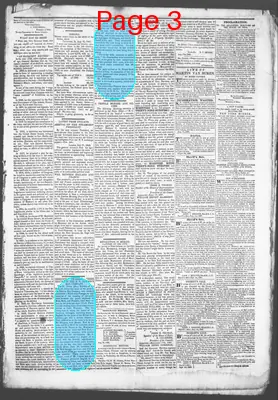 Page thumbnail for Democratic Standard