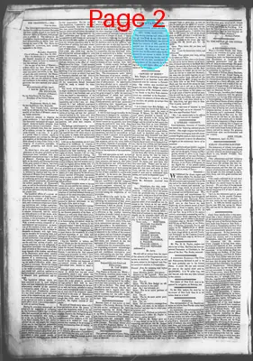 Page thumbnail for Democratic Standard
