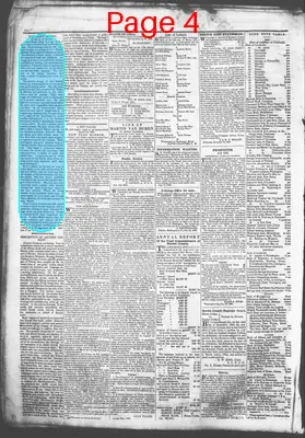 Page thumbnail for Democratic Standard