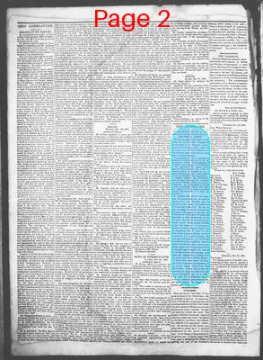 Page thumbnail for Democratic Standard