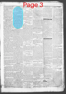 Page thumbnail for Democratic Standard