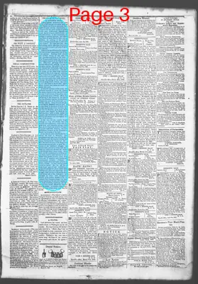 Page thumbnail for Democratic Standard