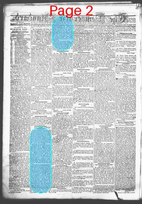 Page thumbnail for Democratic Standard