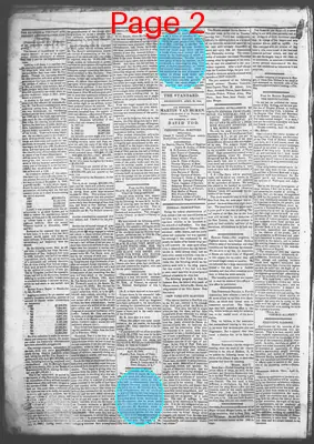 Page thumbnail for Democratic Standard
