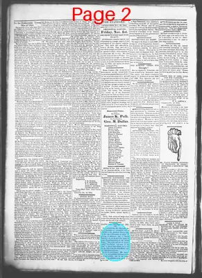 Page thumbnail for Democratic Standard