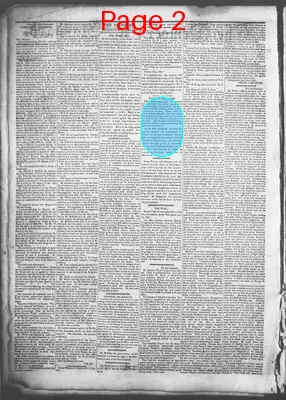 Page thumbnail for Democratic Standard