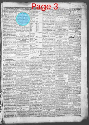 Page thumbnail for Democratic Standard