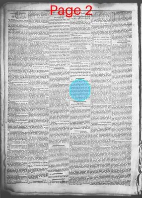 Page thumbnail for Democratic Standard