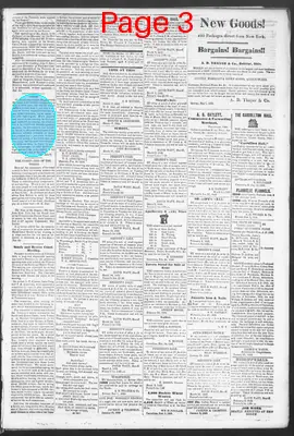 Page thumbnail for Carroll Free Press