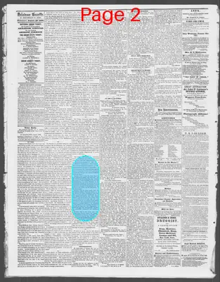 Page thumbnail for Delaware Gazette