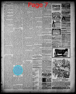 Page thumbnail for Barton County Democrat