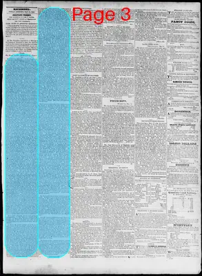 Page thumbnail for Constitutional Whig