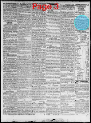 Page thumbnail for Constitutional Whig