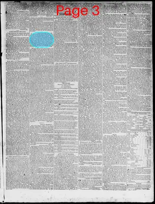 Page thumbnail for Constitutional Whig