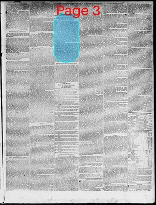 Page thumbnail for Constitutional Whig