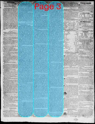Page thumbnail for Constitutional Whig