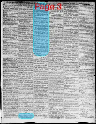 Page thumbnail for Constitutional Whig