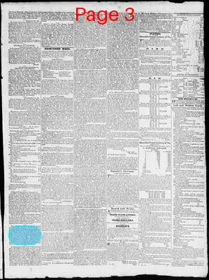 Page thumbnail for Constitutional Whig