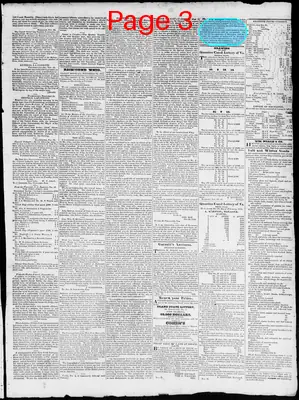Page thumbnail for Constitutional Whig