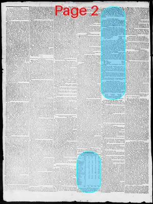 Page thumbnail for Constitutional Whig