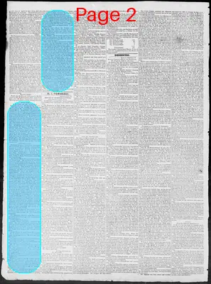 Page thumbnail for Constitutional Whig