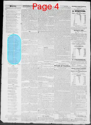 Page thumbnail for Constitutional Whig