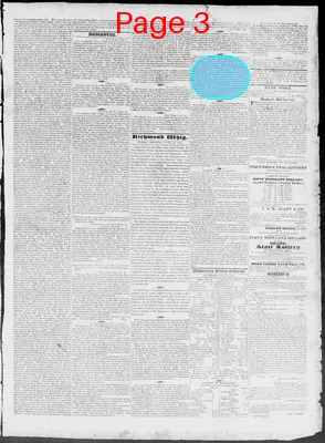 Page thumbnail for Constitutional Whig