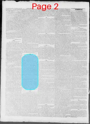 Page thumbnail for Constitutional Whig
