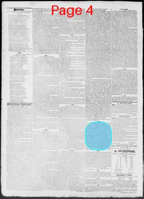 Page thumbnail for Constitutional Whig